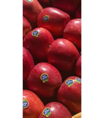 توانایی تأمین سفارشات عمده