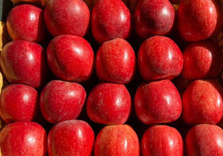 از باغ تا بازارهای جهانی