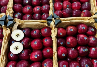 کارتن‌های مقاوم و بهداشتی